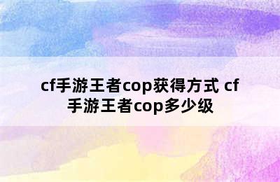 cf手游王者cop获得方式 cf手游王者cop多少级